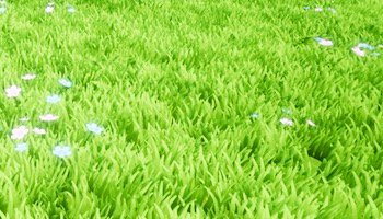 Grass system