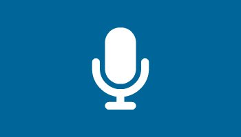 Voice chat system